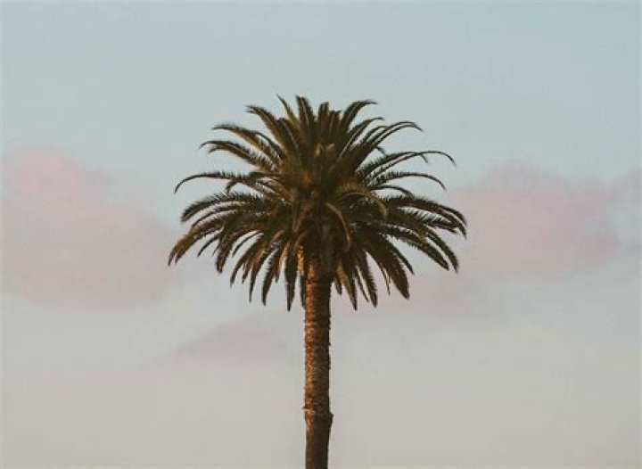 Discover Elizabeth Hirschhorn Airbnb: Unlocking Exceptional Stays