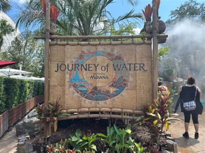 Discovering The Journey Of Janet's Son