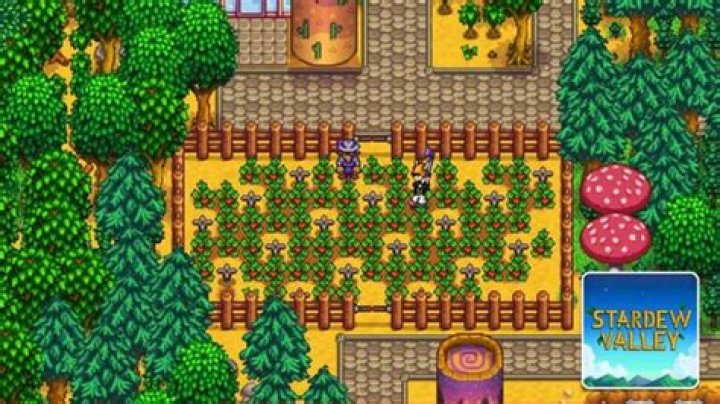 Exploring The Fate Of Pets In Stardew Valley: Can They Die?