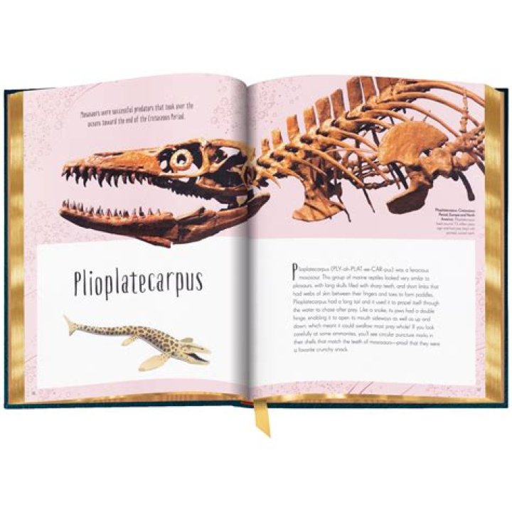 The Complete Guide To @sophieraiin Leaks