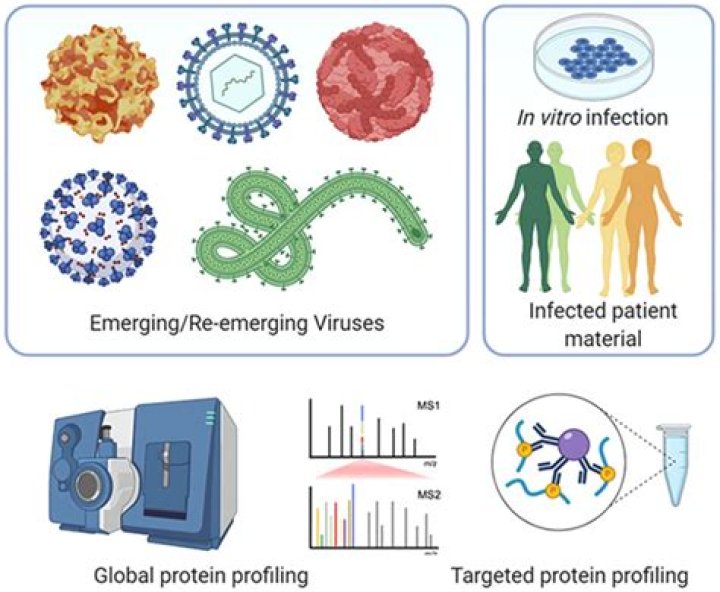 Tracing The Origin: The Philippines' First Encounter With Viral Infections